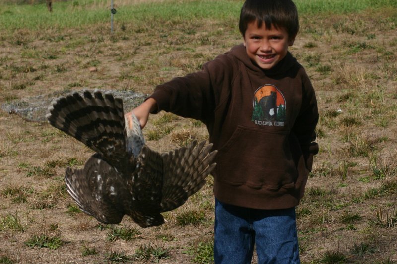  old son trapping buddy with cooper captured with similar dho gazza