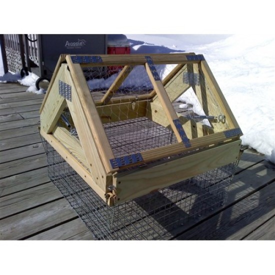 Swedish Goshawk Trap Bait Cage