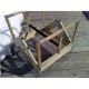 Swedish Goshawk Trap