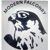 Modern Falconry Equipment