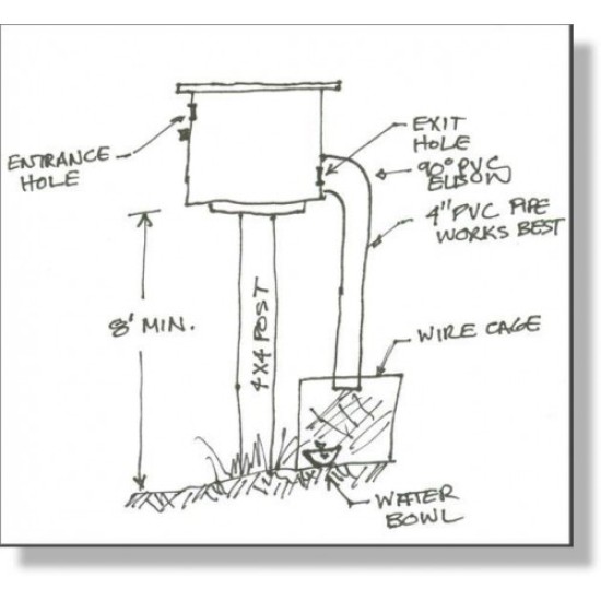 Nestbox Plan for Starling Funnel Trap