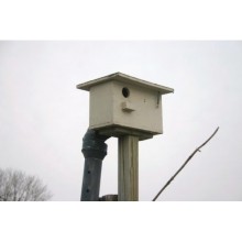 Trip Mechanism for Nestbox Starling Funnel Trap